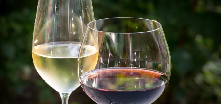 Jak se liší červené a bílé víno a které je zdravější