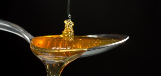 Přírodní antibiotika, na která jsme už dávno zapomněli